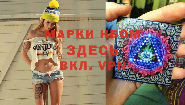 сатива Володарск