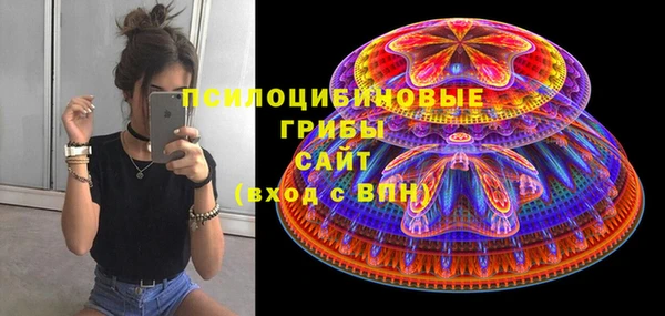 сатива Володарск