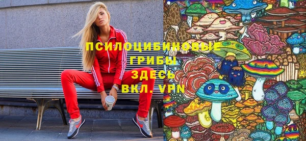 ПСИЛОЦИБИНОВЫЕ ГРИБЫ Волосово