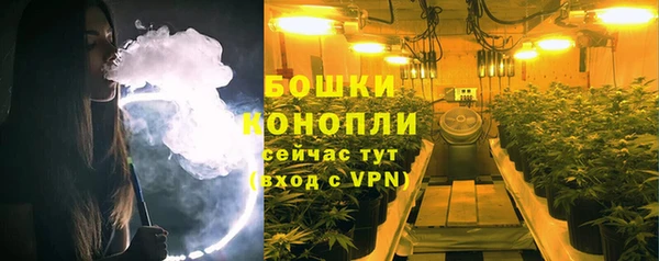ПСИЛОЦИБИНОВЫЕ ГРИБЫ Волосово